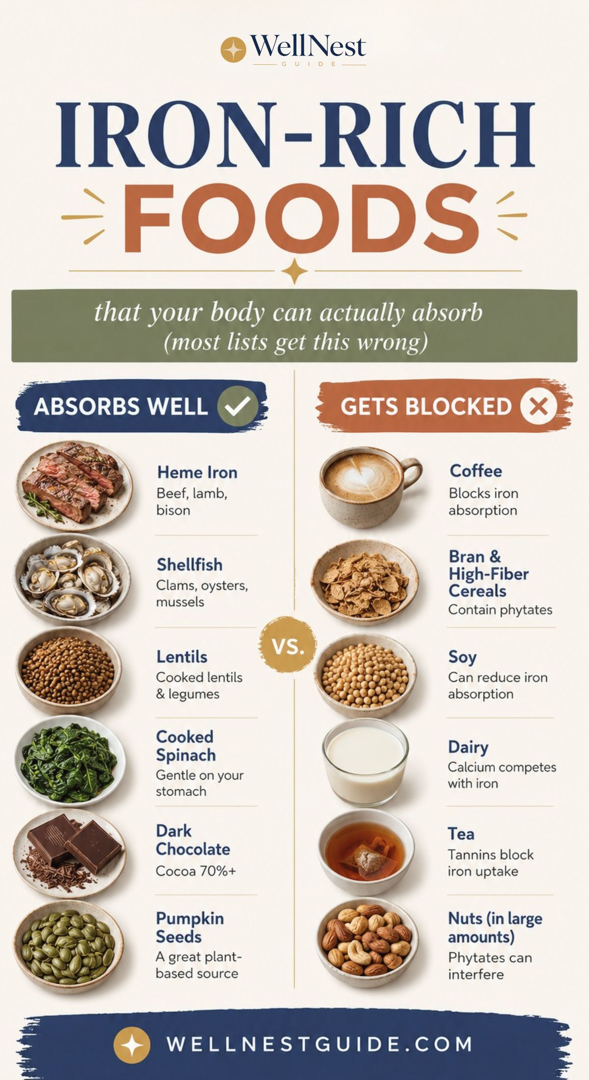 Infographic titled Iron-Rich Foods shows two columns: foods that are absorbed well (heme iron, lentils, spinach, chocolate) and foods that block absorption (coffee, bran, tea), helping you learn how to absorb more iron from your diet.