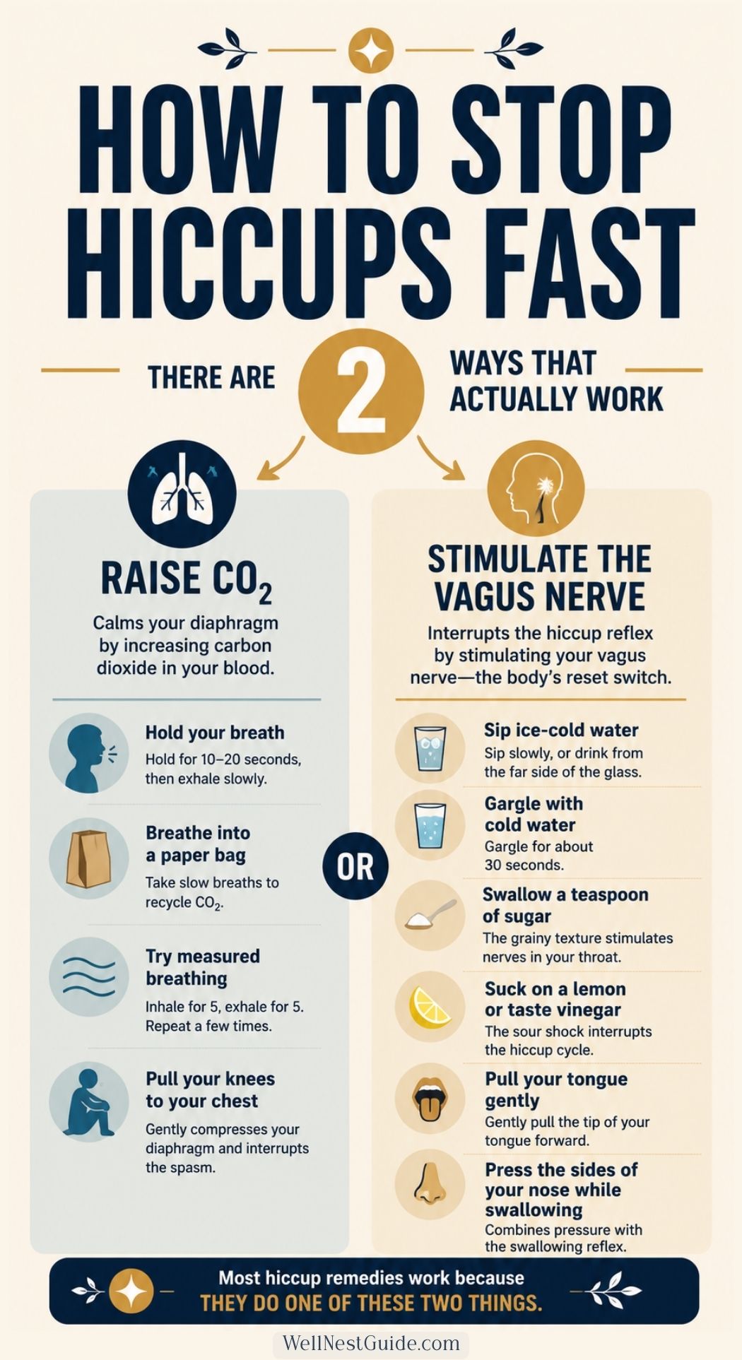 Infographic explaining two effective hiccup remedies: raising CO₂ by holding your breath or breathing into a paper bag, and stimulating the vagus nerve by sipping cold water or swallowing a teaspoon of sugar to get rid of hiccups.
